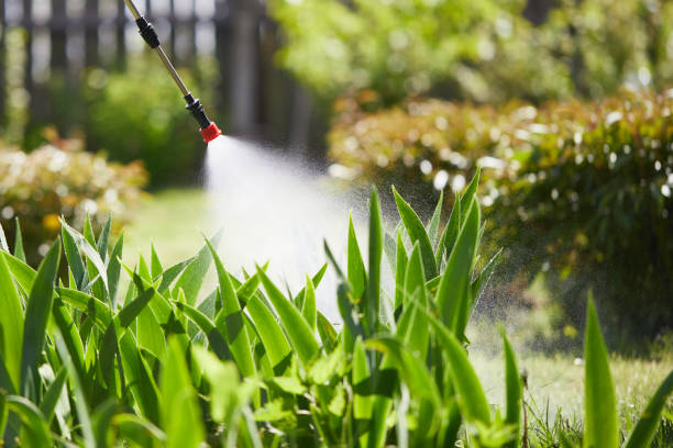 24/7 Emergency Wasp Removal experts in Madison, NE